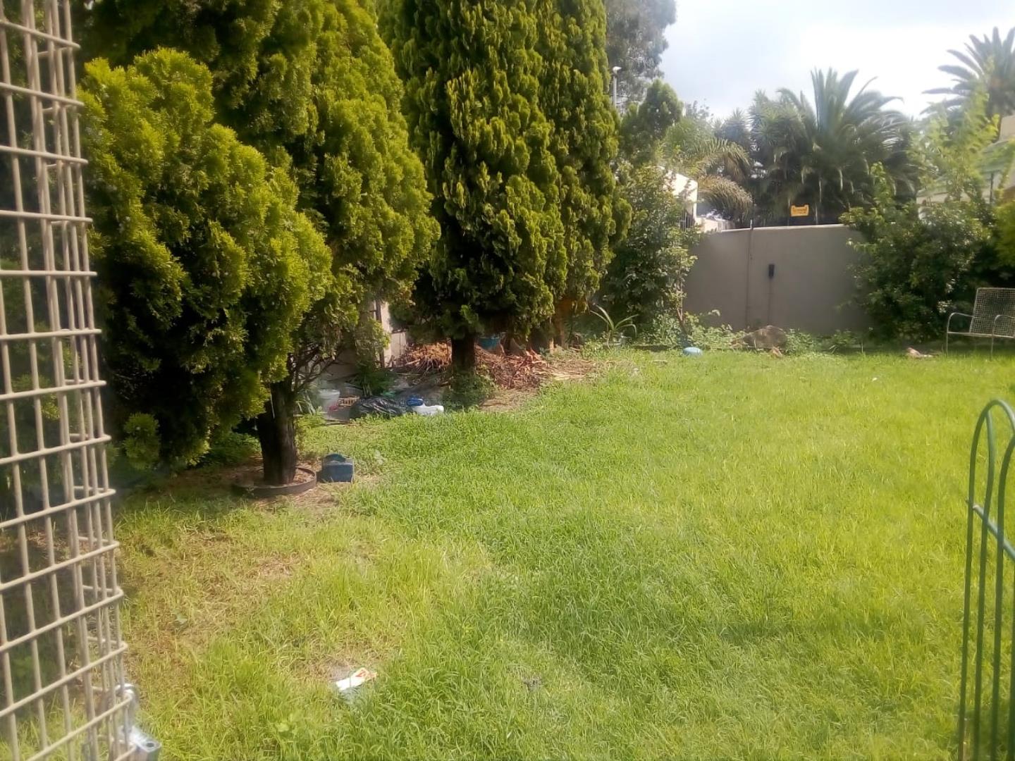 606868_WhatsApp